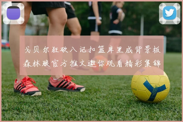 戈贝尔狂砍八记扣篮库里成背景板森林狼官方推文邀你观看精彩集锦