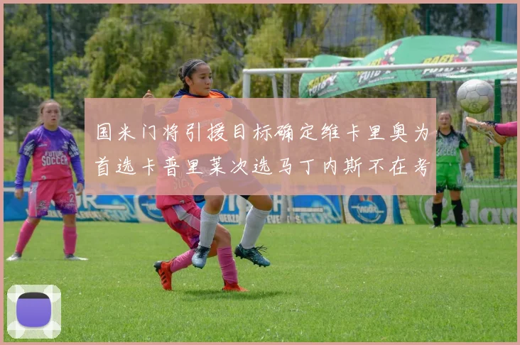 国米门将引援目标确定维卡里奥为首选卡普里莱次选马丁内斯不在考虑之中