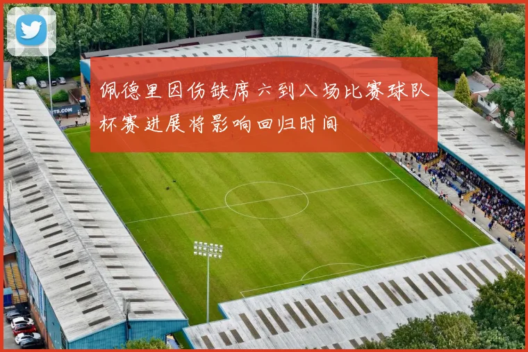 佩德里因伤缺席六到八场比赛球队杯赛进展将影响回归时间