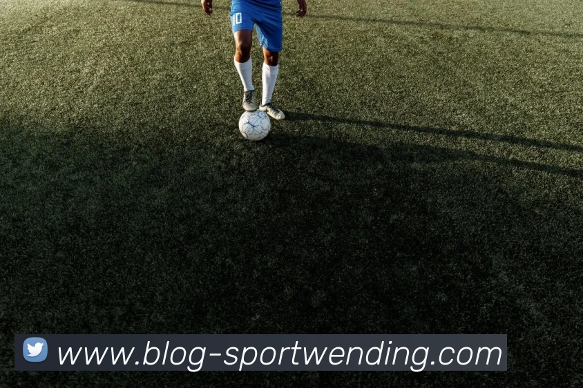 问鼎娱乐APP 封面图